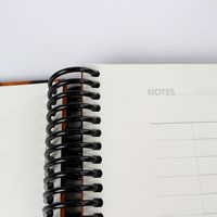 Cuaderno de Espiral con Diseño de Leopardo para Regalo, A6/A6L/A5MINI/A5/B5/A4, Alta Calidad, 100 Hojas Gruesas, Juego Completo de 6 Piezas