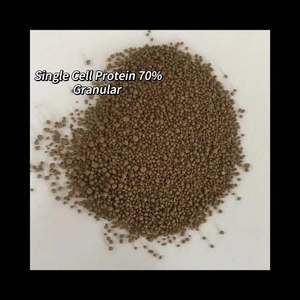 Mycoprotein 70% <span class=keywords><strong>ขาย</strong></span>ร้อนออสเตรเลียวัวแกะ<span class=keywords><strong>อาหาร</strong></span><span class=keywords><strong>สัตว์</strong></span> - Product Image 4
