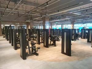 Thương mại phòng tập thể dục tập thể dục trong nhà centre huấn luyện viên nhà máy bán pin-nạp gluteus Maximus cho sức mạnh thể hình - Product Image 3
