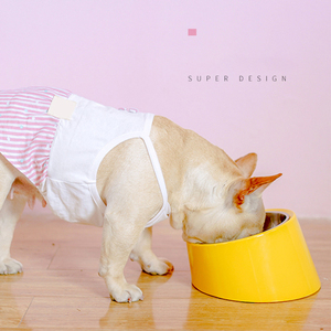 Bol pour <span class=keywords><strong>chien</strong></span> au design superbe, bol à nourriture pour animaux de compagnie en acier inoxydable détachable - Product Image 1