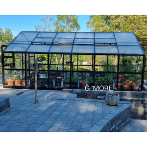 DIY Extérieur Jardin Bâtiment Aluminium Victorien Commercial Diy Lean to Glass Jardin <span class=keywords><strong>Serre</strong></span> Arrière-cour Utilisé pour la Vente - Product Image 2