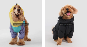 विभिन्न रंग डिजाइनों में कस्टम वाटरप्रूफ कुत्ते वर्षाकोट - Product Image 6