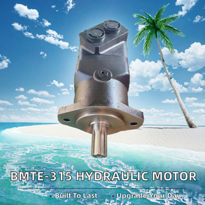 มอเตอร์ไฮดรอลิกแบบลูกสูบ YD BM5-806 6 28 รอบต่อนาที 2000 รอบต่อนาที แรงบิด 10 นิวตันเมตร แรงดัน 2000 ปอนด์ต่อตารางนิ้ว ช่องต่อ 3/4 นิ้ว แกนขนาด 50 มม. อัตราการไหล 85 ลิตรต่อนาที กำลังไฟ 2000 วัตต์ - Product Image 2