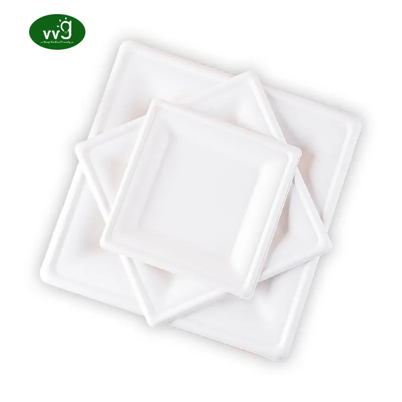 Vvg ללא להוסיף pfas 6 8 10 אינץ compostable ביו מתכלה סוכר נייר עיסת נייר לבן חד פעמיות מרובע