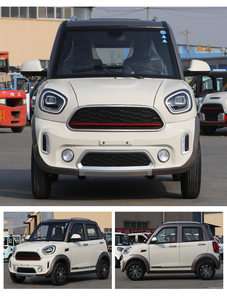 Nouvelle voiture électrique utilitaire légère à 4 portes et 5 places, système intelligent, vente pour adultes, caméra, lumières LED, métal, cuir, simple - Product Image 6