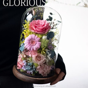 Roses réelles préservées, fleurs éternelles, roses préservées dans un dôme en verre, cadeaux pour la Saint-Valentin pour femmes - Product Image 1