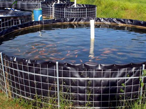 1.0Mm 0.75Mm 0.5Mm <span class=keywords><strong>Hdpe</strong></span> Kết Cấu Mịn Màu Đen Xanh <span class=keywords><strong>Geomembrane</strong></span> Nhựa Fish Farm Tank Phim Lót - Product Image 6