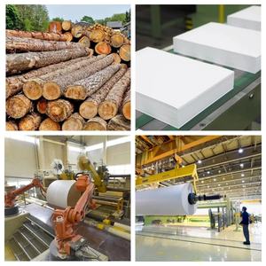 Doppia dimensione <span class=keywords><strong>A4</strong></span> 75 70g 80gsm peso copia/stampa obbligazionaria ufficio carta bianca cartone imballato risma <span class=keywords><strong>fogli</strong></span> di carta <span class=keywords><strong>A4</strong></span> 7.5*11 lettere - Product Image 6