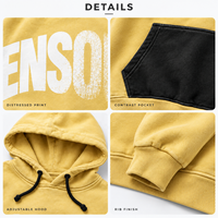 Sweat-shirt à capuche unisexe en molleton de coton surdimensionné, coupe décontractée, colorblock, poids lourd, personnalisable OEM, pour hommes