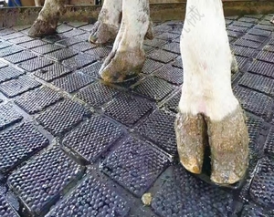 Nouveau tapis en caoutchouc de voie d'équipement agricole pour les vaches/décrochage de bétail/écurie/cabine de vache/caoutchouc MatUnder grattoir à fumier utilisation de cheval - Product Image 1