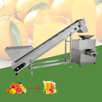 Commerciële elektrische grapefruit-citroenpers, machine voor vers fruit, sinaasappelpers met dubbele roller, sapcentrifuge
