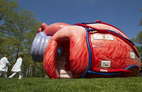 Modèle de cerveau de rein de coeur humain gonflable géant personnalisé pour publicités Décoration Gonflables Cartoon