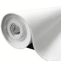 Tissu géotextile non tissé haute résistance, géotextile en PP aiguilleté 200gsm 300gsm pour la protection des pentes et la construction routière