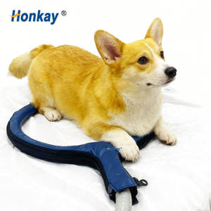 Práctica Máquina PEMF para Animales, para Relajar los Músculos Tensados, Mejorar la Movilidad y Promover la Relajación Muscular - Product Image 1