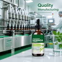 Gouttes liquides de Moringa OEM 1000mg avec curcuma et curcumine pour le soutien énergétique, le métabolisme et l'immunité