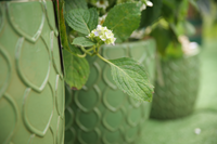 Pot de fleurs en céramique texturée de luxe avec motif en relief, trou de drainage écologique pour plantes succulentes d'intérieur/extérieur