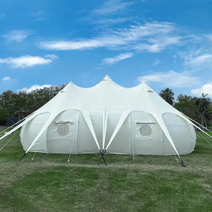 Tentes d'auvent de feuille de mouche extensible de partie d'événement - Product Image 4