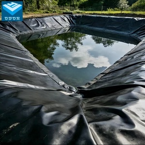 Geomembrana <span class=keywords><strong>de</strong></span> Protección contra Lixiviados Mineros <span class=keywords><strong>de</strong></span> HDPE, Revestimiento <span class=keywords><strong>de</strong></span> 2.9mm 3.0mm 3.5mm, Indestructible a los Productos Químicos - Product Image 6