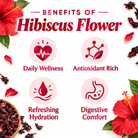 Label Pribadi OEM ODM Teh Herbal Alami Bunga Hibiscus Kering Bebas Gula Bebas Kafein Tanpa Bahan Tambahan Label Pribadi OEM