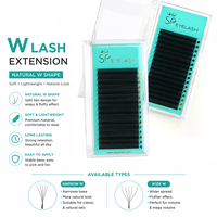 SP EYELASH Extensions de cils en forme de W étroit 3D 4D 5D 0.07mm Courbure C D, en faux vison doux pour la peau, Extensions de cils en W, Vente en gros de cils YY