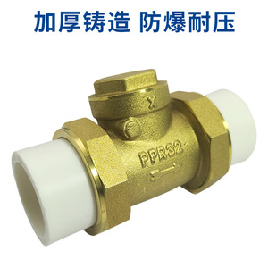 Clapet anti-retour en laiton Mori River PPR32 4/6 pouces DN20/25 pour tuyau d'eau horizontal, structure à une seule palette - Product Image 2
