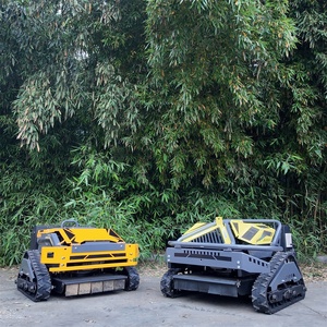 <span class=keywords><strong>2025</strong></span> hot-bán Máy cắt cỏ với động cơ xăng 500 mét chiều rộng cắt thương mại Máy cắt cỏ với Extra-Long điều khiển từ xa phạm vi - Product Image 2