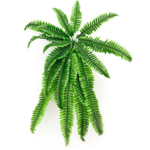 Planta Artificial de Hojas Persas para Decoración de Interiores, Follaje Artificial de Alta Simulación, Decoración para el Hogar - Product Image 1