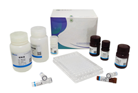2X SYBR Green QPCR Master Mix, Hot Start Taq Polymerase, comprend un colorant ROX