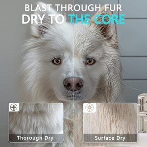 Soplador de Agua Automático Multifuncional de Alta Calidad para Eliminar el Pelo de Perros, Certificado CE, Recargable, Herramienta de Aseo para Mascotas - Product Image 3
