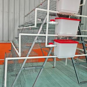 Jaula para gallinas ponedoras tipo A de 4 niveles - Capacidad para 160 aves por conjunto - Product Image 3