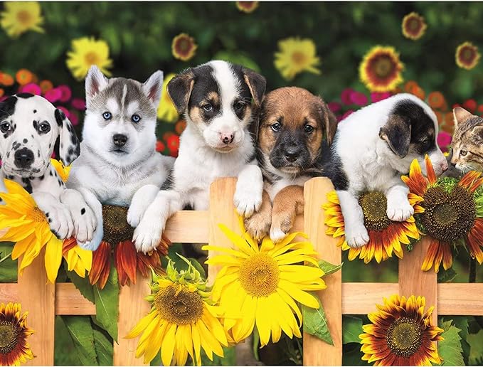 Chien et chat sur une clôture de tournesols.
