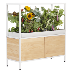 Système <span class=keywords><strong>de</strong></span> jardinage hydroponique intelligent d'intérieur pour usine, 36 sites <span class=keywords><strong>de</strong></span> culture avec éclairage LED et réservoir d'eau pour herbes et légumes - Product Image 1