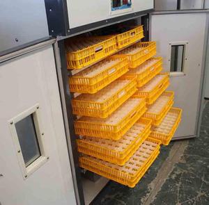 Cao tỷ lệ nở 528 gà trứng lồng ấp Nhà Máy Giá màu thép tấm cho quy mô lớn gà trứng ấp - Product Image 5