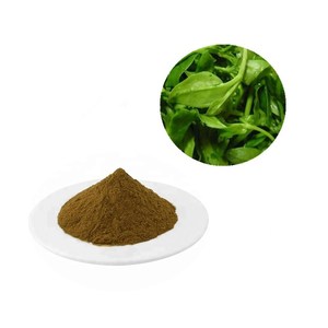 Giá bán buôn <span class=keywords><strong>andrographis</strong></span> paniculata chiết xuất 10% andrographolide bột - Product Image 5