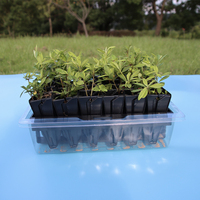 Hydroponique 40 Cellules Forêt Semis Plateau Starter Kit PS PET Dôme En Plastique Pépinière Pot Maison Serre PP Semence Plantation Arbre