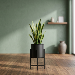 Support de plantes en métal pour sol avec bac à plantes pour salon, chambre, intérieur, extérieur, présentoir de fleurs, décoration moderne en métal - Product Image 3