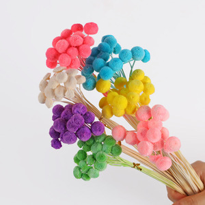 20 pièces/lot Fleurs <span class=keywords><strong>de</strong></span> bouton séchées naturelles colorées DIY Arrangements floraux Diplôme Fleurs réelles conservées longue durée - Product Image 2