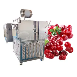 海洋高品质食品冷冻干燥机工业级速溶咖啡水果商用连续干燥机