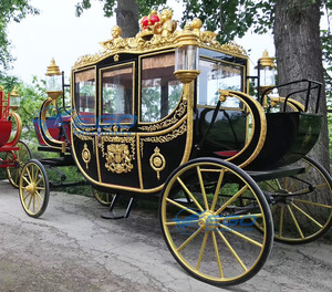 Nuevos Productos: Carruaje Real Eléctrico, Carruajes de Caballos para Bodas, Fabricante de Carruajes Decorativos de Caballos en Oferta - Product Image 4