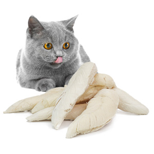 Tiernahrung Snacks Hühner geschmack Katzenfutter Katzen behandelt Hühner fleisch gefrier getrocknete Hühner brust - Product Image 1