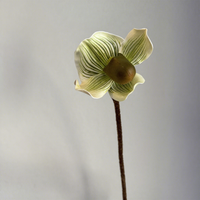 Model Penjualan Bunga Piphidium Paphiopedilum Berkualitas Tinggi Desain Floral untuk Ruangan Dekorasi Rumah Anggrek