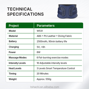 Tohachi EMS TENS Dual Pulse 16-Strength Deep Tissue Massage Wholesale Large-Area <b>Heating</b> EMS EVS Waist Massage Belt - Product Image 4