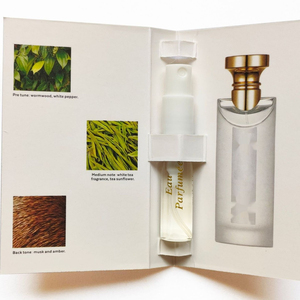 Parfums en gros pour femmes et hommes : Huile de Cologne florale, rose, épicée, boisée, format mini, parfum longue durée, sans alcool - Product Image 5