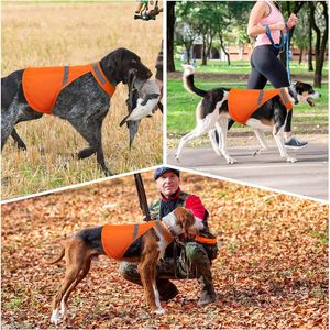 Customized Modern Leisure Solid <strong>Hi</strong>-<strong>Vis</strong> Reflective <strong>Dog</strong> Safety Vest Waterproof Polyester Oxford Belt Custom Logo Summer - Product Image 6