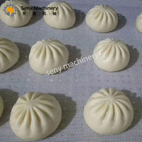 Seny boulette de soupe momo congelée entièrement automatique faisant la machine de chine