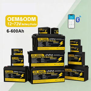 폴란드 스톡 12V 24V 48V 100Ah 200Ah 300Ah LiFePO4 배터리 팩 (스마트 BMS 포함) - Product Image 2