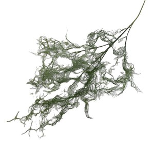 <span class=keywords><strong>Musgo</strong></span> Artificial <span class=keywords><strong>Español</strong></span> al por Mayor, Tillandsia Colgante, Decoración Verde para Bodas, Fondo, Pasillo, Mesa, Material Floral de Fábrica - Product Image 5