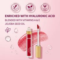 Gloss à lèvres Water Glow Mirror Shine, teinte à lèvres haute brillance, imperméable, longue tenue, huile à lèvres éclatante, fournisseur de marques privées