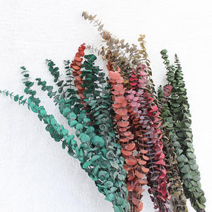 10 Uds. Planta de eucalipto preservada de hojas de eucalipto secas reales naturales para decoración de eventos de Ducha - Product Image 2
