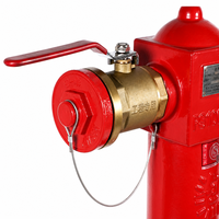 Hydrant d'incendie en fonte DN100/65 à double sortie, fixation par bride fixe, pour la protection incendie des entrepôts, des dépôts de pétrole et des usines chimiques